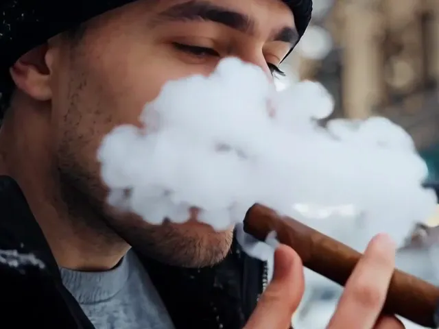 Home 13 ai cigar smoking video generator